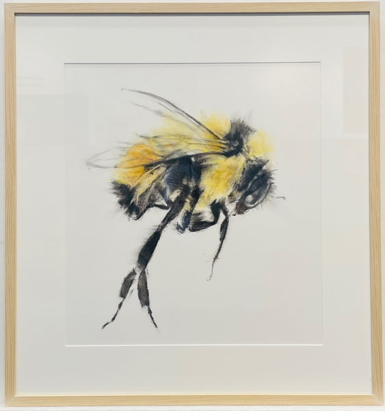Bumble Bee II, 2024
