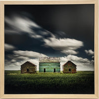 Three Barns, ed. 12/20