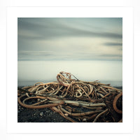 Salish Sea No.59