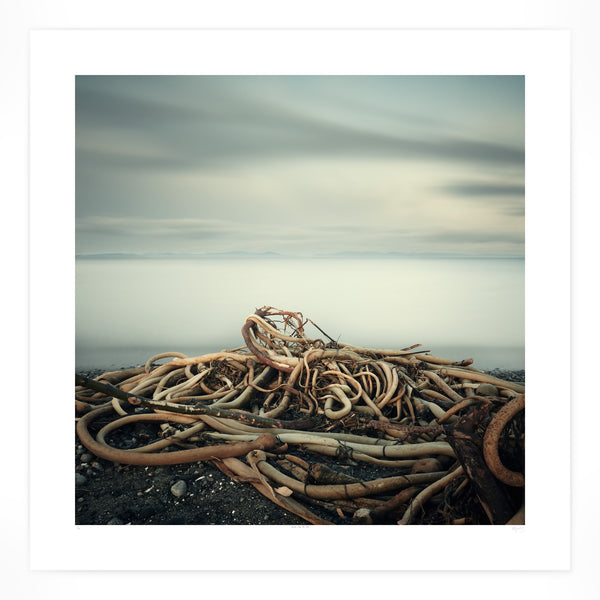Salish Sea No.59
