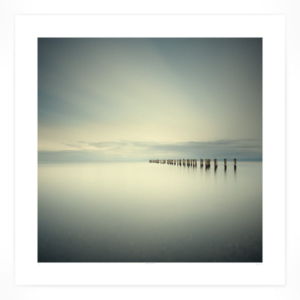 Salish Sea No.66