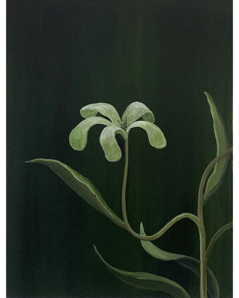 Singular Bloom, 2025