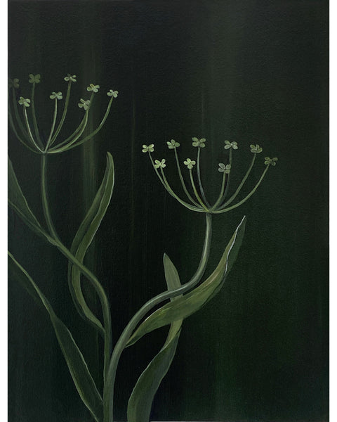 Umbrella Flowers, 2025