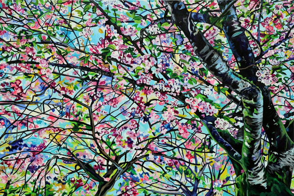Salsbury Park Cherry Blossoms