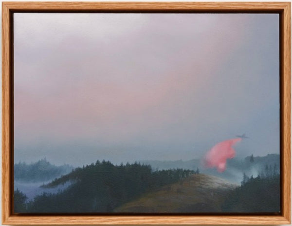 Airplane with Pink, 2024