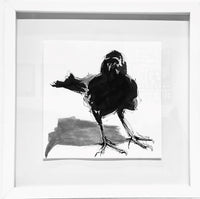 English Bay Crow #1